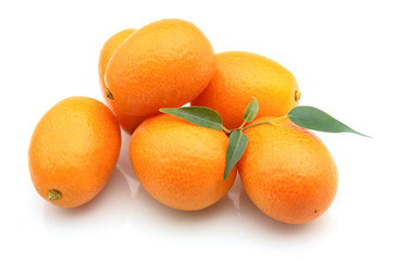 Swee kumquat