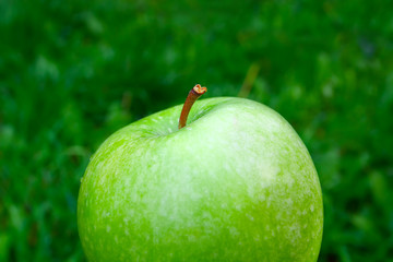 fresh bright green apple