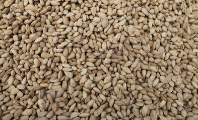 Almond