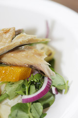 Smoked Mackerel and Orange Salad