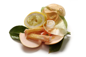 Umido - Raccolta differenziata