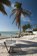 Hammock in shade of a palm tree at the beach
