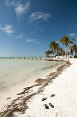 Flip-flops deserted at the beach
