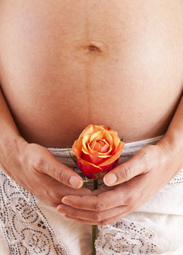 Pregnant woman holding rose in front of tummy in colour