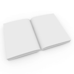 3d blank book