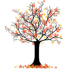 Obraz premium Herbstlicher baum