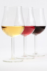 Three glasses of different choices of wine