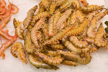 fresh fish on the market