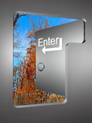 Enter