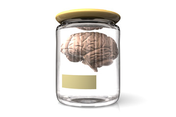 Brain in a glass pot