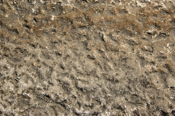 a background image of rock pattern in nature