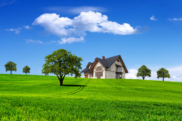 Obraz premium New house