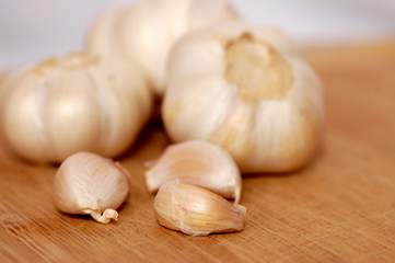 Garlic