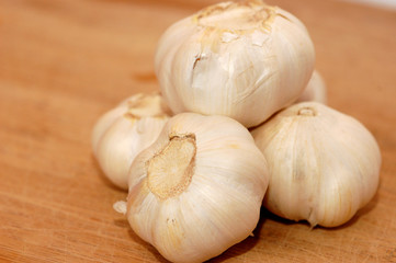Garlic