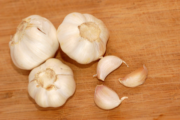 Garlic