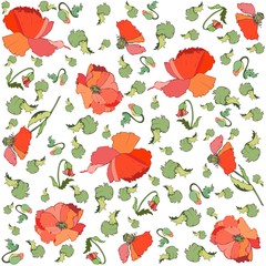 Floral background. Poppy.