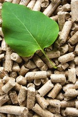 Wood Pellets & Green Leaf