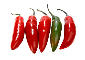 red hot chili peppers