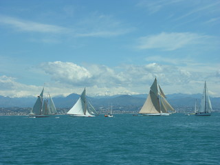 classic sailing yacht regatta