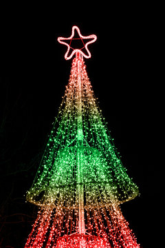 illuminated Christmas tree