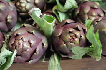 fresh artichoke on italian stall - Powered by Adobe
