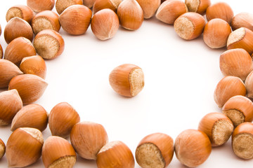 haselnuts isolated