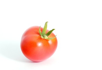 fresh tomato on white background