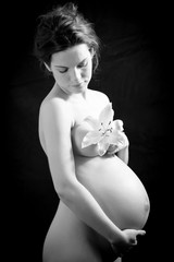 Black and white image of beautiful pregnant woman - obrazy, fototapety, plakaty