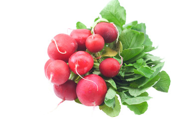 radish isolated on white