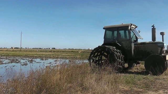 TRACTOR SALIENDO DE UN ARROZAL(DELTA DEL EBRO)