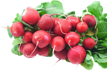radish isolated on white