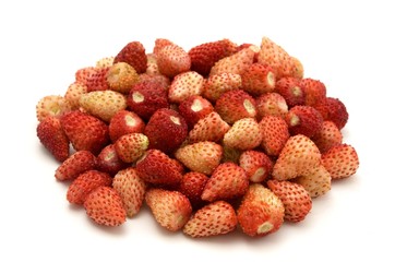 Woodland Strawberry