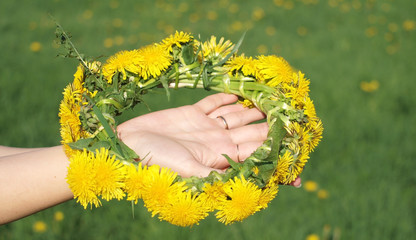 Garland of the dandelions in the girl hand