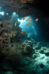 Deurstickers Underwater cave and sunlight © Mark Doherty