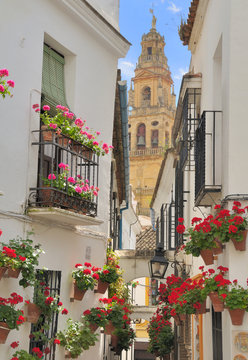 Bell tower at the Mezquita mosque/cathedral in Cordoba, Spain