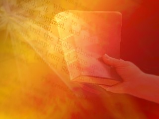 Bible In Hand