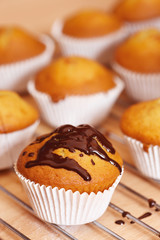 Muffins backen