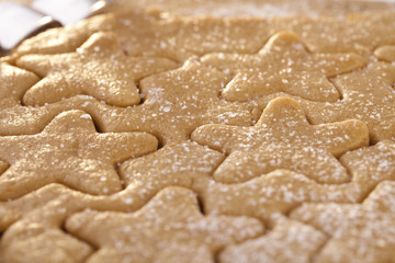 gingerbread  star cookie cuts doug