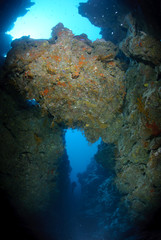 Underwater canyon