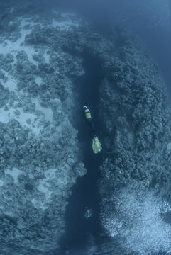 Scuba diver over underwater canyon