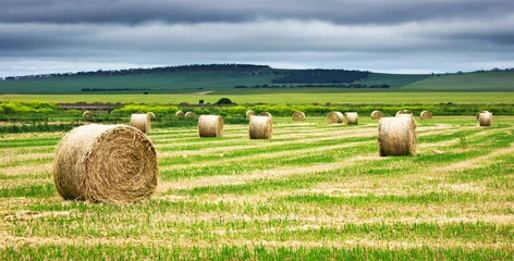 Rolgordijnen Hay Bale Field © Kwest