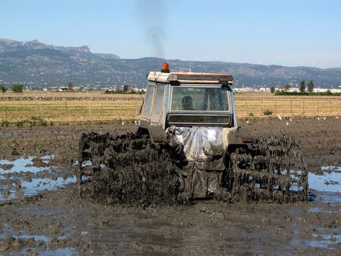 TRACTOR TRABAJANDO EN UN CAMPO DE ARROZ (DELTA DEL EBRO)