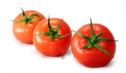 Tomatoes isolated on white background