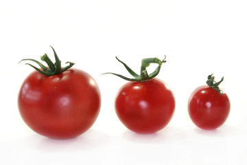 Tomaten