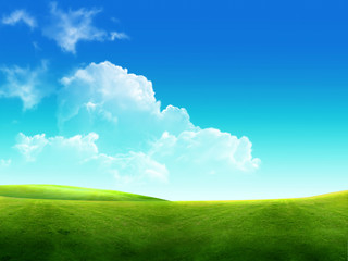 Fototapeta na wymiar beautiful landscape, green grass, blue sky .