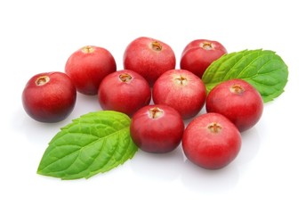 Cranberry with leaves of peppermint