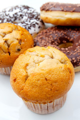 Backwaren - Muffins Donuts Schoko Vanille Heidelbeeren