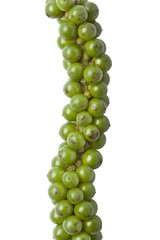 Unripe green fresh pepper close up