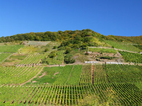 Mesenicher Goldtr&ouml;pfchen