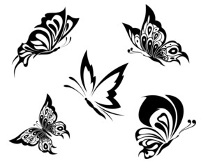 Black white butterflies of a tattoo